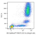 BD RB670 Mouse Anti-Human CD11b (Integrin αM)