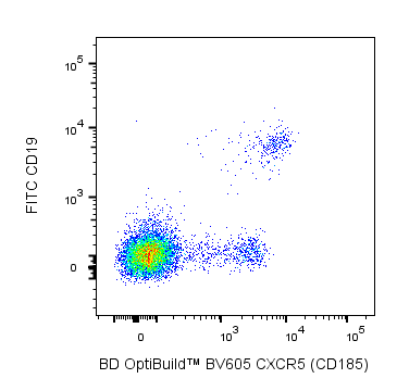 BD BV605 Rat Anti-Human CXCR5 (CD185)