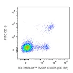 BD BV605 Rat Anti-Human CXCR5 (CD185)