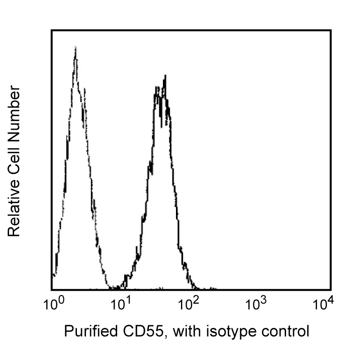 BD Purified Mouse Anti-Human CD55