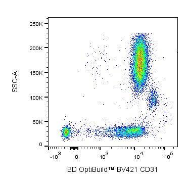 BD BV421 Mouse Anti-Human CD31