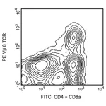 BD PE Mouse Anti-Mouse Vβ 8 T-Cell Receptor