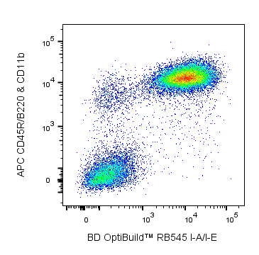 BD RB545 Rat Anti-Mouse I-A, I-E