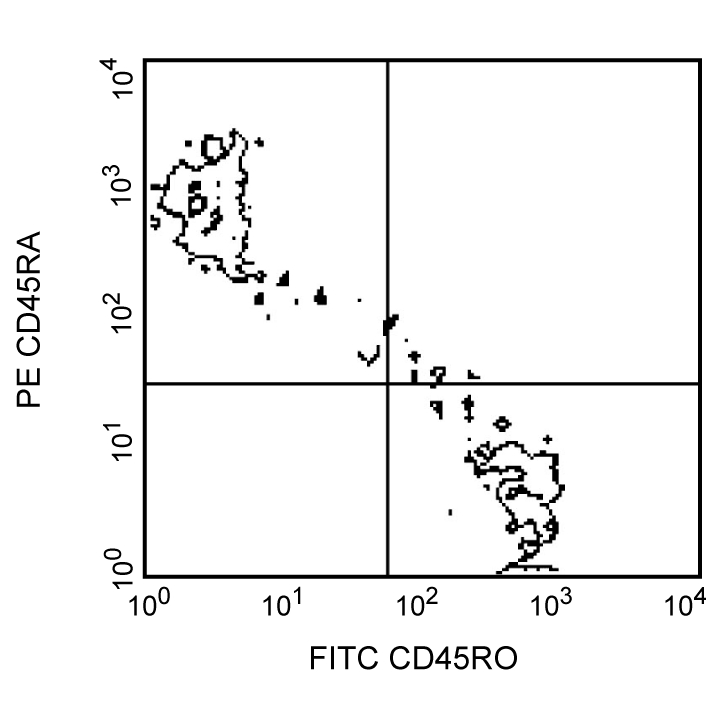 BD FITC Mouse Anti-Human CD45RO