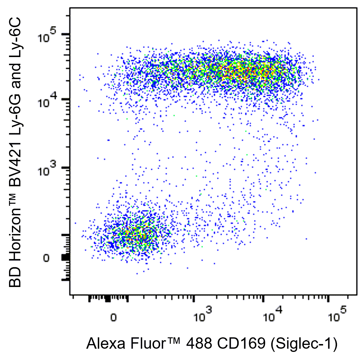 BD Alexa Fluor 488 Rat Anti-Mouse CD169 (Siglec-1)