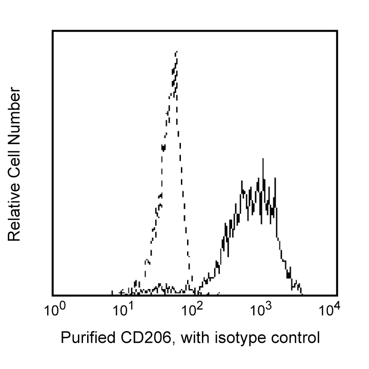 BD Purified Mouse Anti-Human CD206