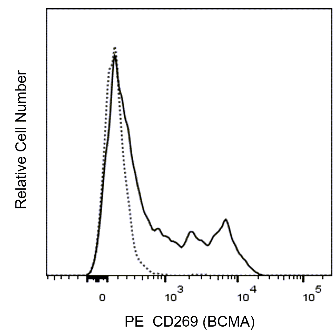 BD PE Rat Anti-Mouse CD269 (BCMA)