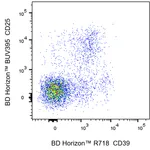 BD R718 Rat Anti-Mouse CD39