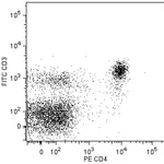 BD PE Rat Anti-Mouse CD4