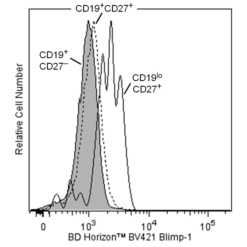 BD BV421 Rat Anti-Blimp-1