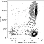 BD BV786 Mouse Anti-Human CD62L