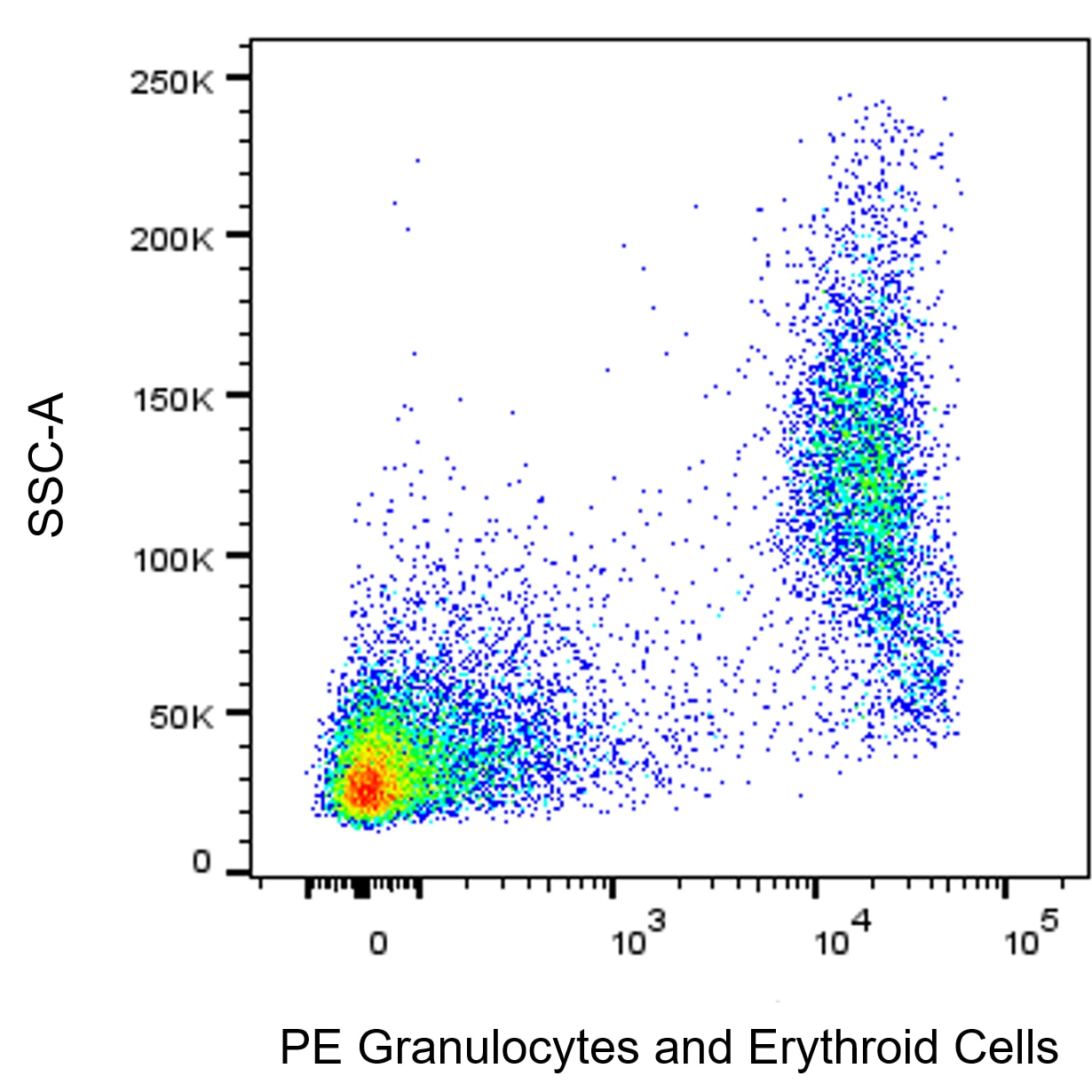 BD PE Mouse Anti-Rat Granulocytes and Erythroid Cells