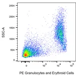 BD PE Mouse Anti-Rat Granulocytes and Erythroid Cells