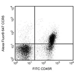 BD Alexa Fluor® 647 Rat Anti-Mouse CD196