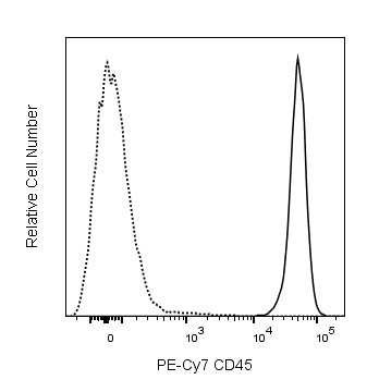 BD PE-Cy7 Rat Anti-Mouse CD45