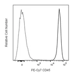BD PE-Cy7 Rat Anti-Mouse CD45