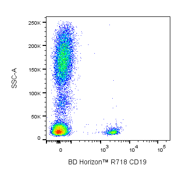 BD R718 Mouse Anti-Human CD19