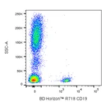 BD R718 Mouse Anti-Human CD19