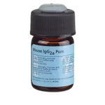 BD Purified Mouse IgG2a, κ Isotype Control