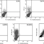 BD HiCK-2 Human Cytokine Positive Control Cells