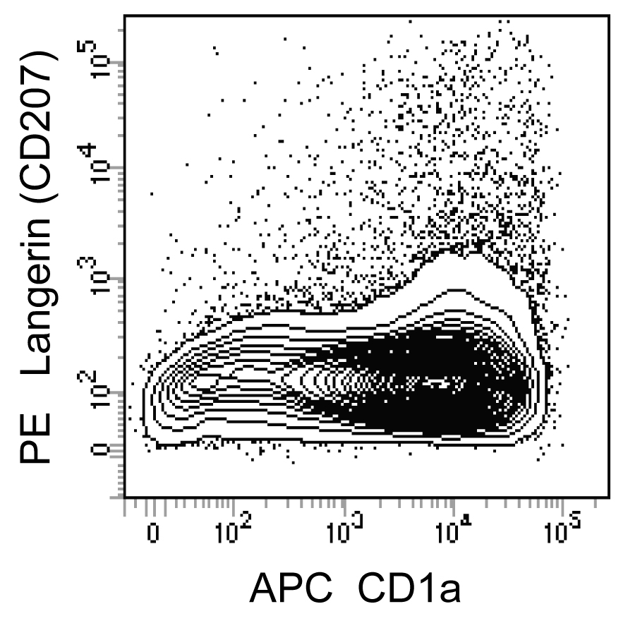 BD PE Mouse Anti-Human Langerin (CD207)