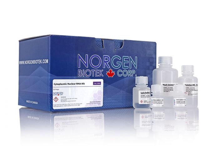 Norgen Cytoplasmic & Nuclear RNA Purification Kit
