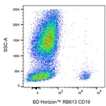 BD RB613 Mouse Anti-Human CD19