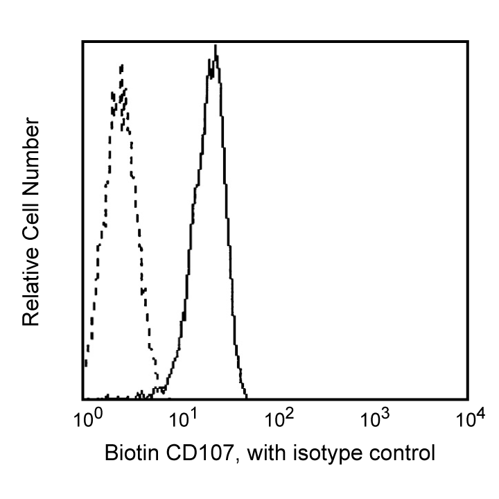 BD Biotin Mouse Anti-Human CD107a | 캐시바이