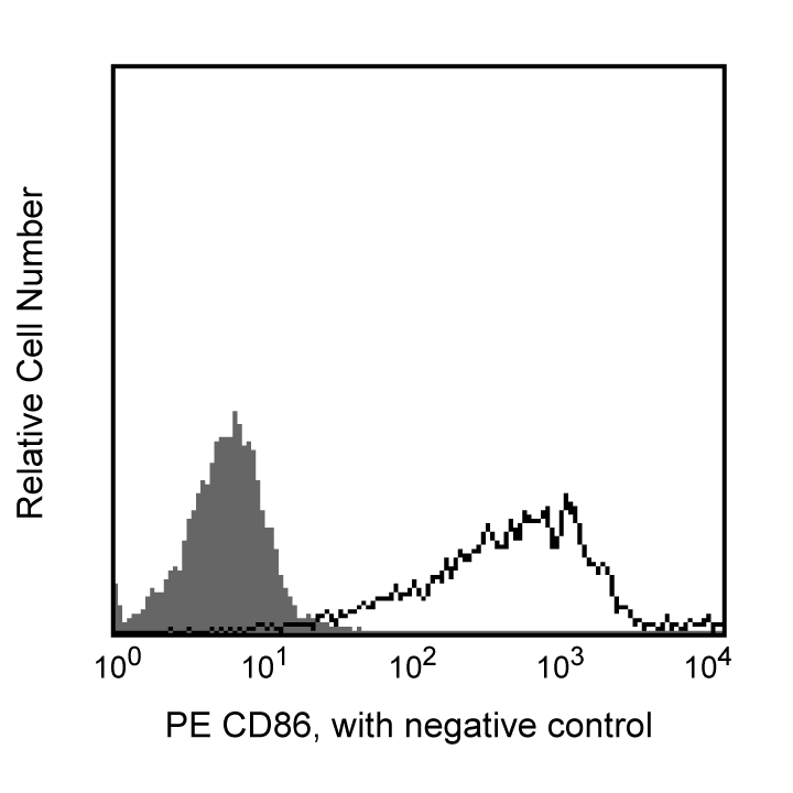 BD PE Rat Anti-Mouse CD86