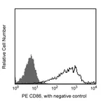 BD PE Rat Anti-Mouse CD86