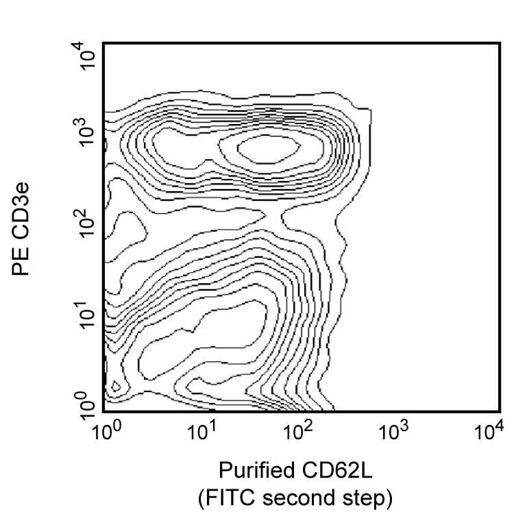 BD Purified Rat Anti-Mouse CD62L