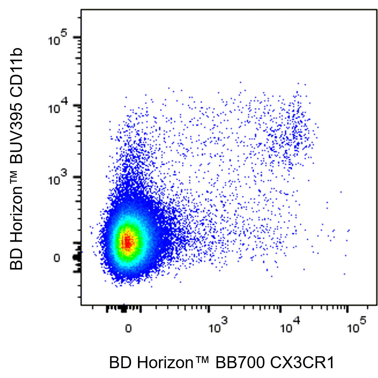 BD BB700 Rat Anti-Mouse CX3CR1