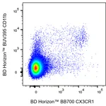 BD BB700 Rat Anti-Mouse CX3CR1