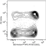 BD APC-R700 Rat Anti-Mouse CD62L