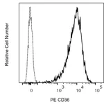 BD PE Mouse Anti-Human CD36
