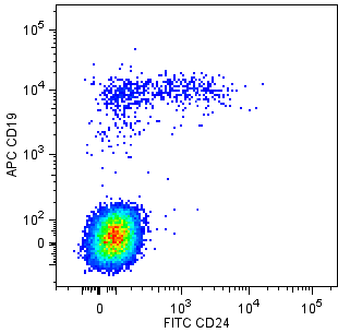 BD BB515 Mouse Anti-Human CD24