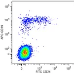 BD BB515 Mouse Anti-Human CD24