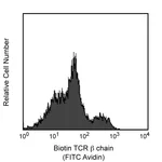 BD Biotin Hamster Anti-Mouse TCR β Chain