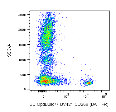 BD BV421 Mouse Anti-Human CD268 (BAFF Receptor)