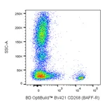 BD BV421 Mouse Anti-Human CD268 (BAFF Receptor)