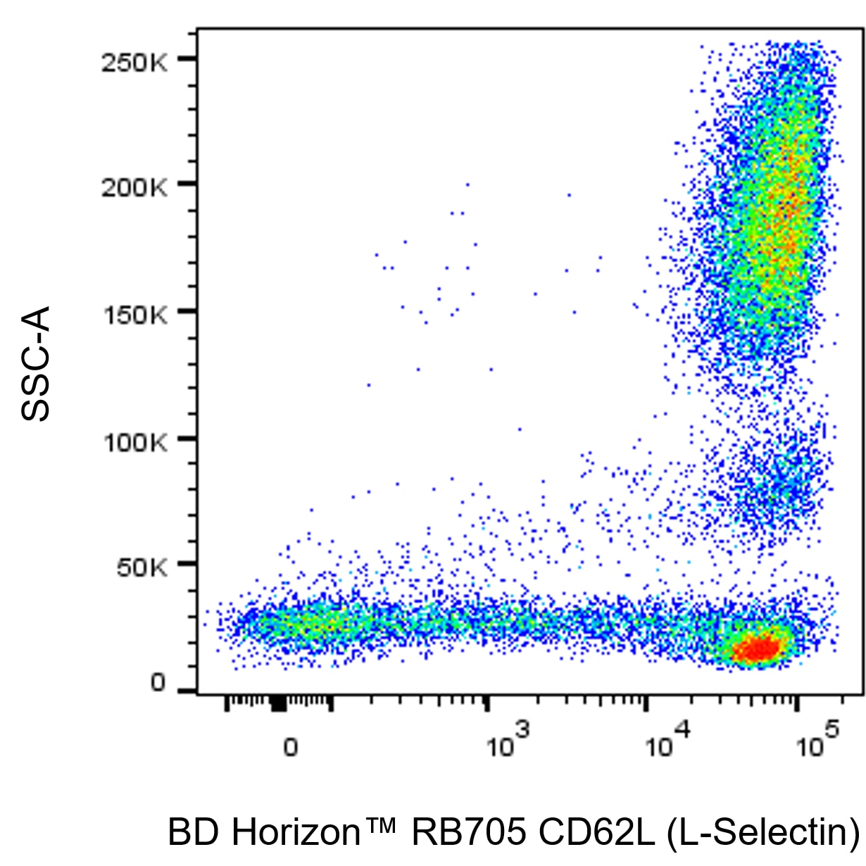 BD RB705 Mouse Anti-Human CD62L (L-Selectin)