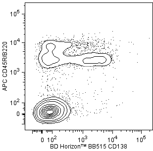 BD BB515 Rat Anti-Mouse CD138