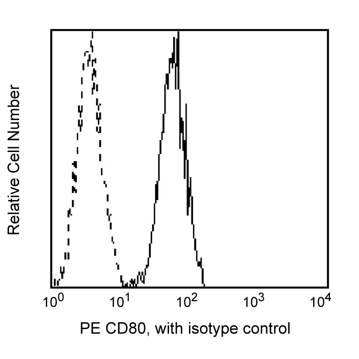 BD PE Mouse Anti-Human CD80
