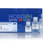 Norgen Plasma/Serum Cell-Free Circulating DNA Purification Midi Kit Dx