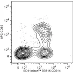 BD BB515 Mouse Anti-Human CD314 (NKG2D)