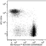 BD BUV395 Rat Anti-Mouse CD45R/B220