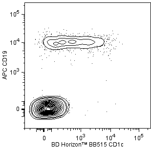 BD BB515 Mouse Anti-Human CD1c