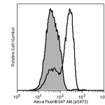 BD Alexa Fluor® 647 Mouse Anti-Akt (pS473)
