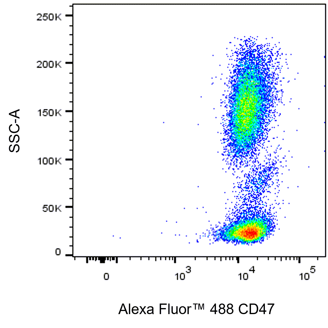 BD Alexa Fluor 488 Mouse Anti-Human CD47