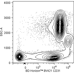 BD BV421 Mouse Anti-Human CD31